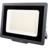 Прожектор светодиодный JAZZWAY PFL-C3 100W 6500K IP65 5023628A